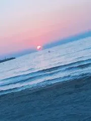 ふゆの画像