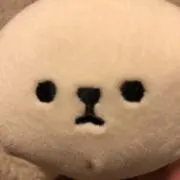 もちこの画像