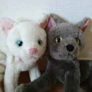 2Oの画像