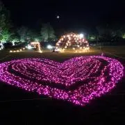 yuuの画像