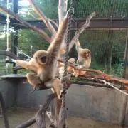 ゆーたーーんの画像