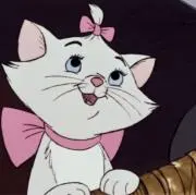 maの画像
