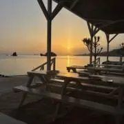 rinの画像