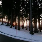 eniueaの画像