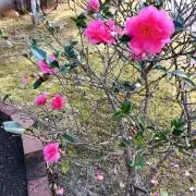みその画像