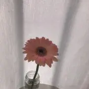 ゆきの画像
