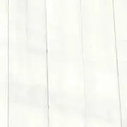CONの画像