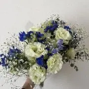 pomの画像