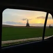hello!の画像