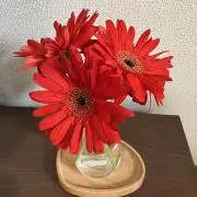 Kの画像