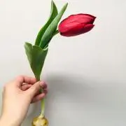 にっしぃの画像