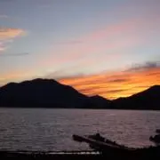 かにの画像