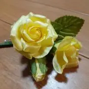 ひじりの画像