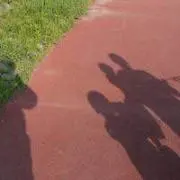 tramps29の画像