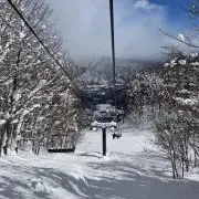 マモコ　値下げ交渉どんとこい！