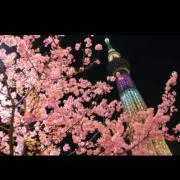 断捨離中☆☆