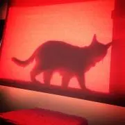 miya1967の画像