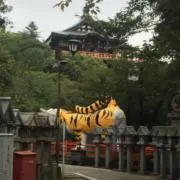 まやの画像