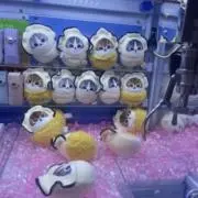 youの画像
