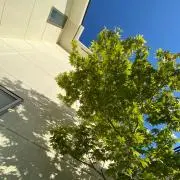 リエの画像