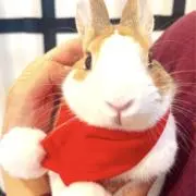 う〜くんの画像