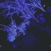 あの画像