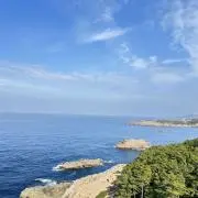 ゆの画像