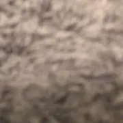 星