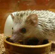 まりたかの画像