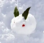 雪うさぎ*̣̩˚̣̣⁺̣❊