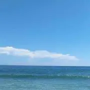 ゆず
