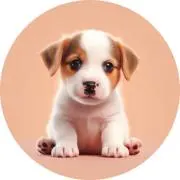 ぼのぼのの画像