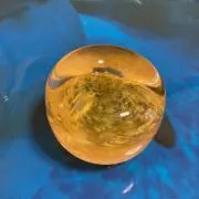 マーの画像