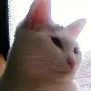 おんたま