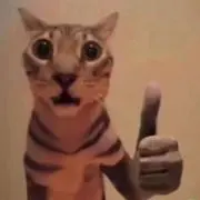ねこっころの画像