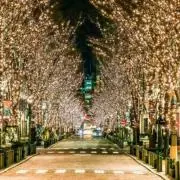いずみの画像