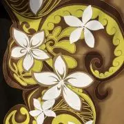 cocoaの画像