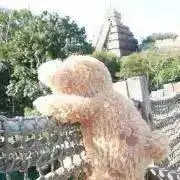 ☆JUNA☆の画像