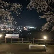 はりほのの画像
