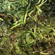 LILLIの画像