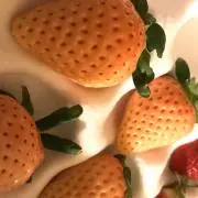 ppの画像