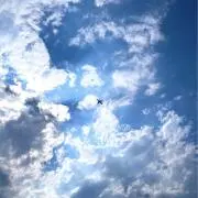 ニ米。の画像