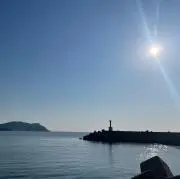 はるまき