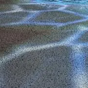 jamの画像