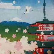 のんちゃんの画像
