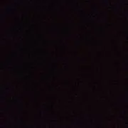 nobodyの画像