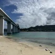 粉ミルクの画像