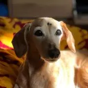 ハナ