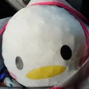 らぶぴぃ.°ʚ(*´˘`*)ɞ°