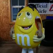 戻り鰹